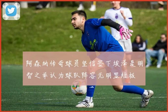 阿森纳传奇球员坚信签下埃泽是明智之举认为球队阵容无明显短板