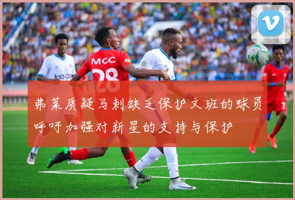 弗莱质疑马刺缺乏保护文班的球员呼吁加强对新星的支持与保护